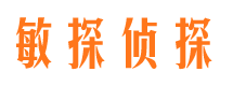 迎江捉小三公司